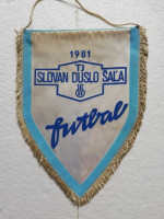 /album/sala/sala-tj-slovan-duslo-60-30-jpg/